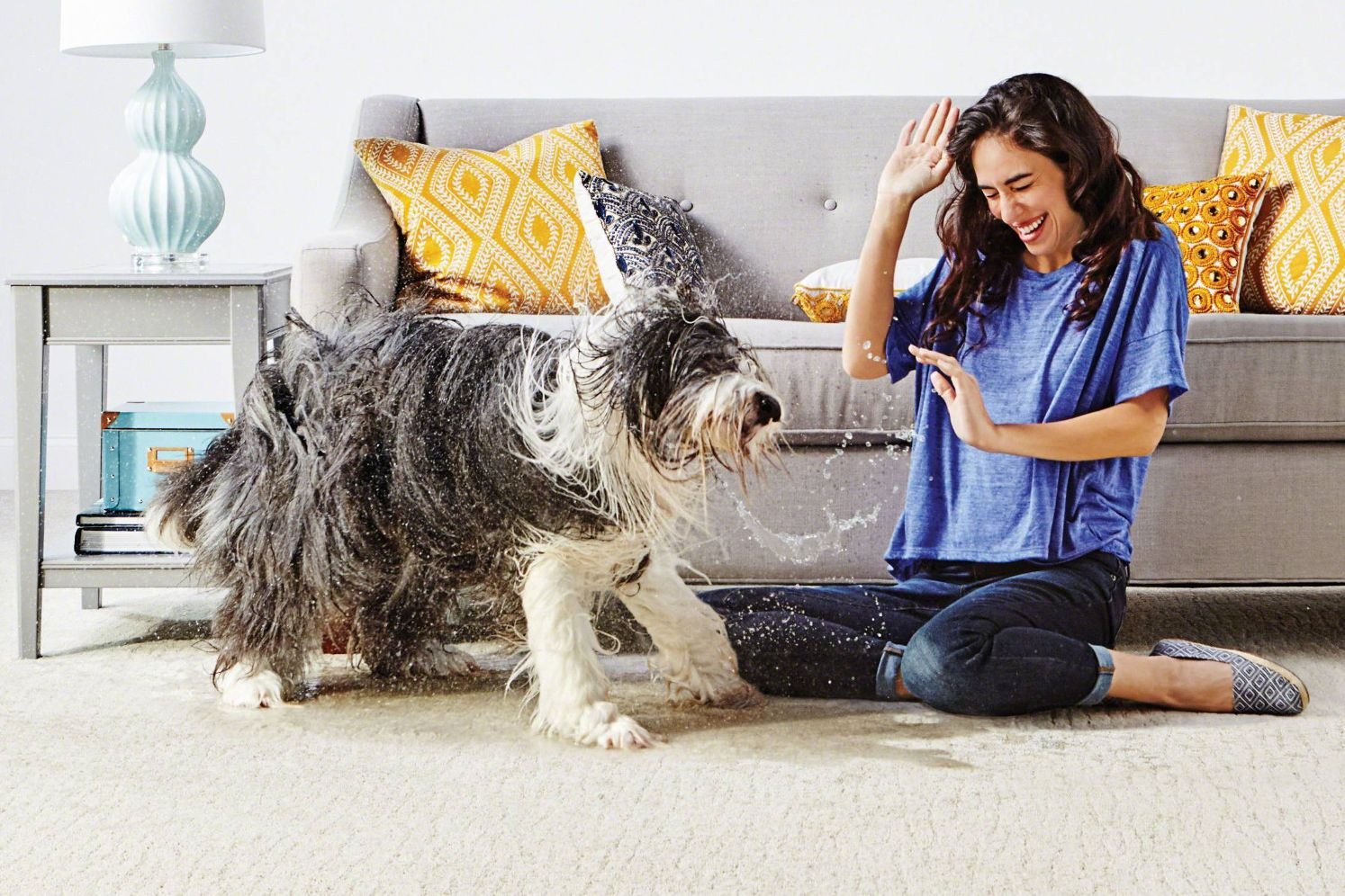 Woman in living room with dog from Flooring Xpress Enterprise in Chicago